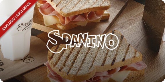 Spanino Banner con Logo